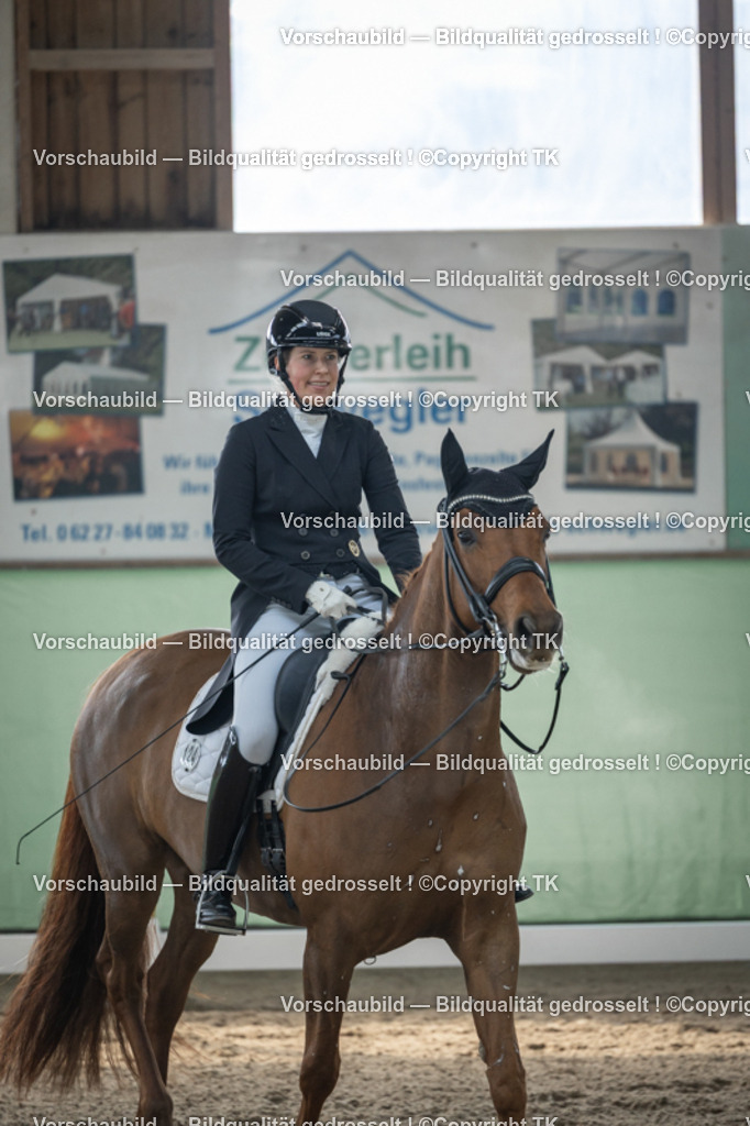 _D5A4623 | Emotionale Pferde- & People-Fotografie rund um Heidelberg, Leimen & Umgebung. Natürliche Fotos von Pferd, Mensch & Familie. Jetzt Termin sichern!