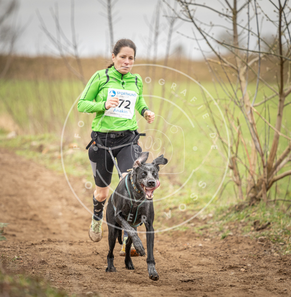 DV3A1965 | Hundefotografie, Tierfotograf, Pfotenfotografie, Fotoshooting Hund, Hunde Portrait, Hundesport, Hundeportraits, Heideshooting, Hunde, Sportfotograf, Hundefotograf, Turnierhundsport, THS,  - Realisiert mit Pictrs.com