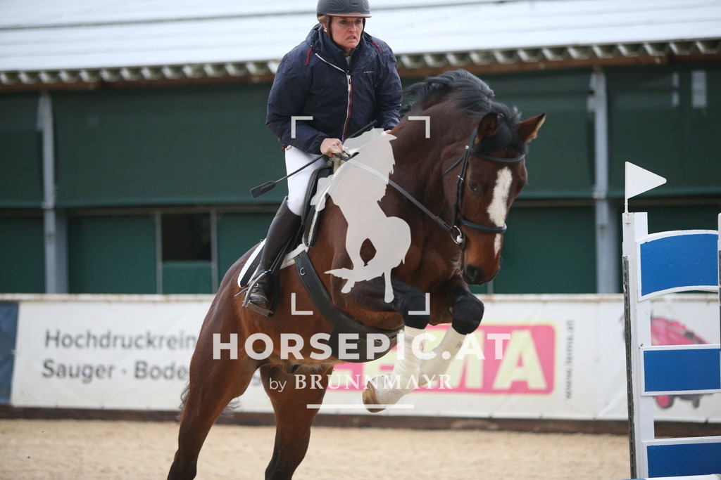 AS8V0586 | Willkommen bei Brunnmayr - Design & Fotografie – Ihrem Spezialisten für Reitturniere und Pferdeveranstaltungen in Oberösterreich, Salzburg und Bayern! Seit über 17 Jahren sind wir leidenschaftlich dabei.