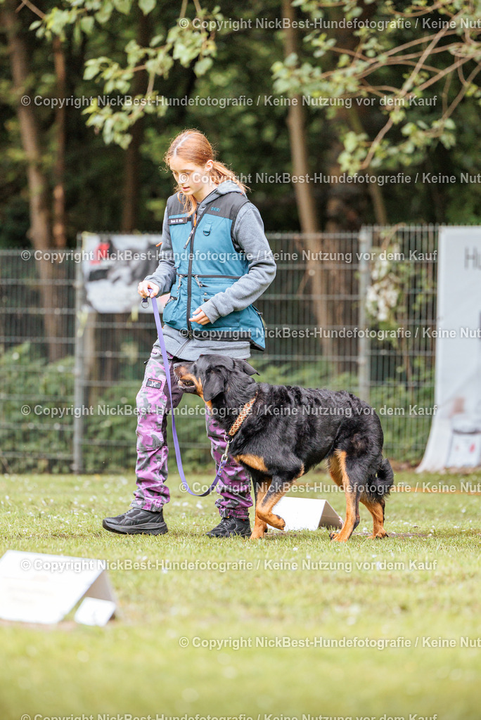 RO-Blumenthal-2026-Nickbest-Hundefotografie-1195 | Dein Hund! Dein Moment! Deine Erinnerungen! Hundefotografie in Bremen Blumenthal. Ich fange die besonderen Momente deines Vierbeiners ein – ob Indoor mit Blitzanlage oder in der freien Natur. Sicher dir dein Moment und dein Termin für eure Erinnerungen.