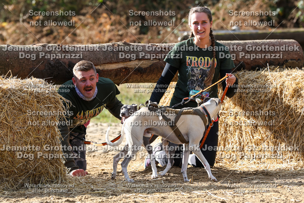 Dog Paparazzi - Strongdog 10-25-5771 | Dog Paparazzi Jeanette Grottendiek Fotografie & Videografie