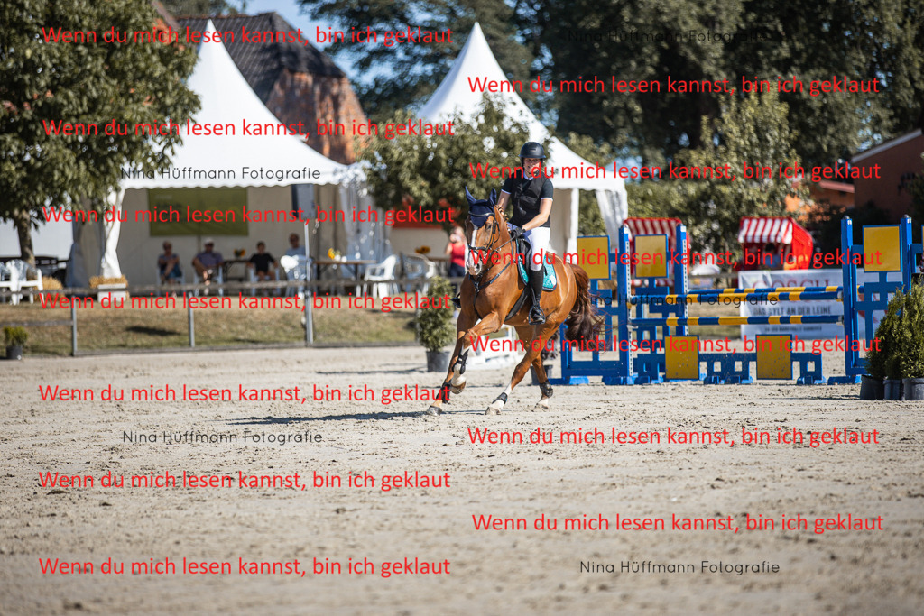 BK1A7191 | Turnierbilder Turnierfotos Nina Hüffmann Turnierfotografie Pferdefotografie Tierzeichnung Haustierzeichnung Pferdezeichnung Hundezeichnung Videograf  - Realisiert mit Pictrs.com