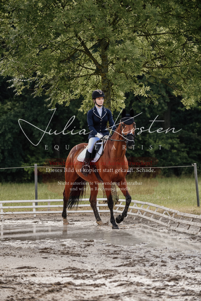 DSC_8425 | Pferde- und Turnierfotografie in Westsachsen. Pferdeportraits, Auftragszeichnungen und intuitive Kunst.