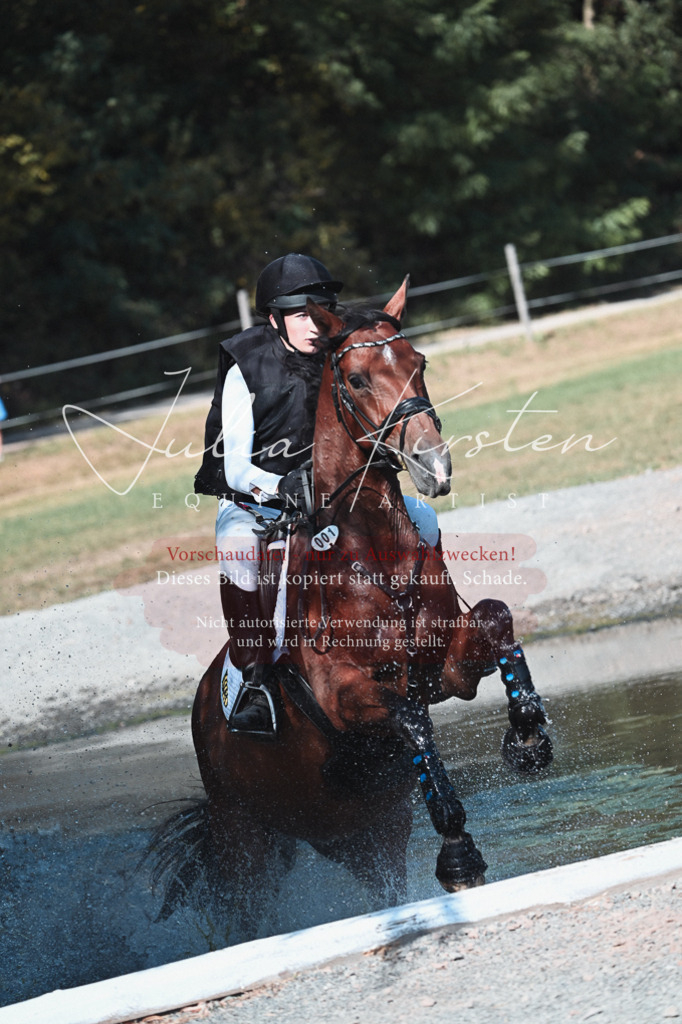 DSC_8727 | Pferde- und Turnierfotografie in Westsachsen. Pferdeportraits, Auftragszeichnungen und intuitive Kunst.