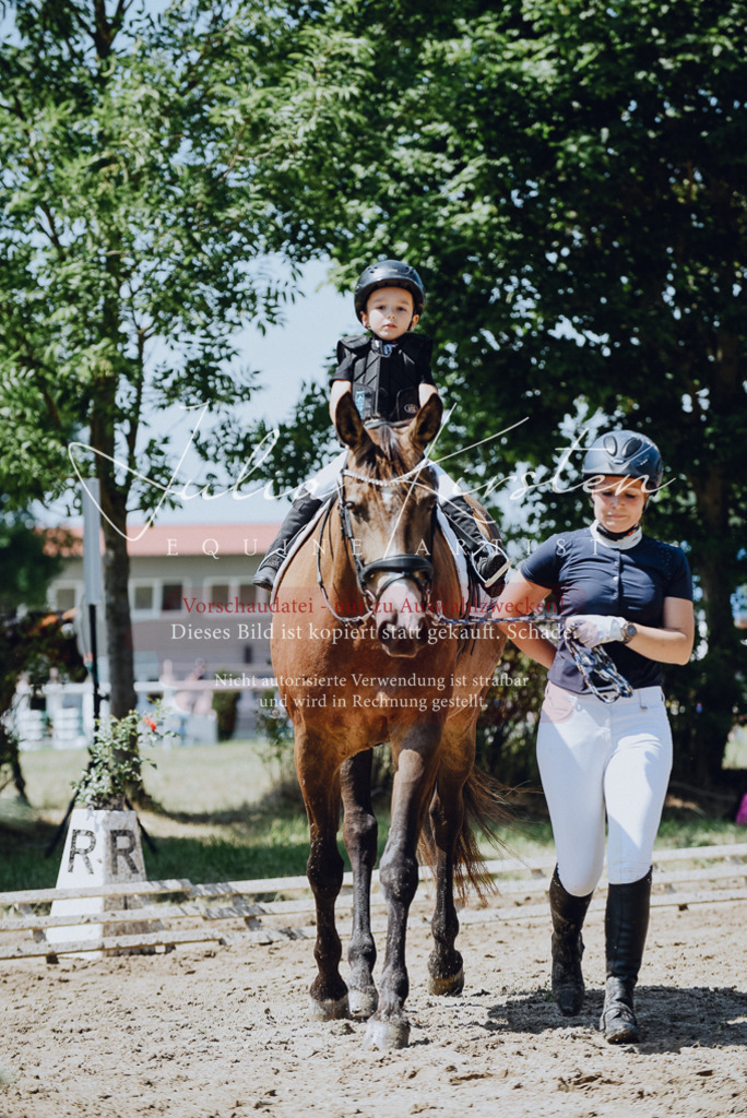 DSC_2493 | Pferde- und Turnierfotografie in Westsachsen. Pferdeportraits, Auftragszeichnungen und intuitive Kunst.