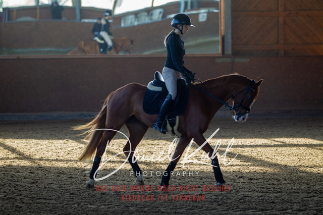 DKP42139 | Turniersportfotografie; Pferdefotografie; Dressurfotografie