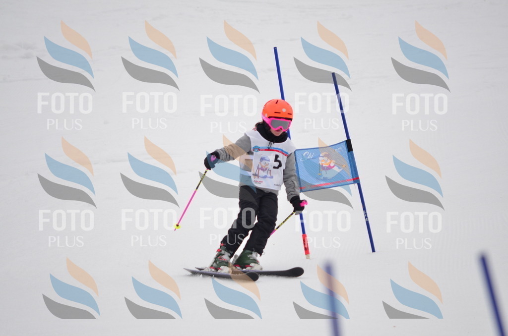 C0302 | holidayphoto