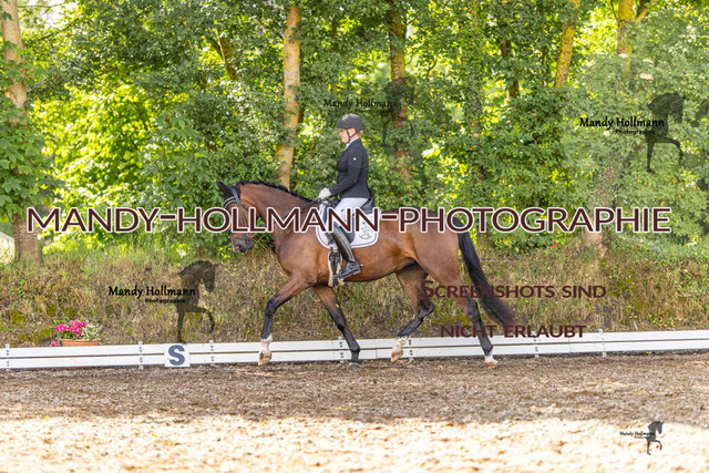 RPF 4 Filsum (389 von 535) | mandyhollmannphotographie