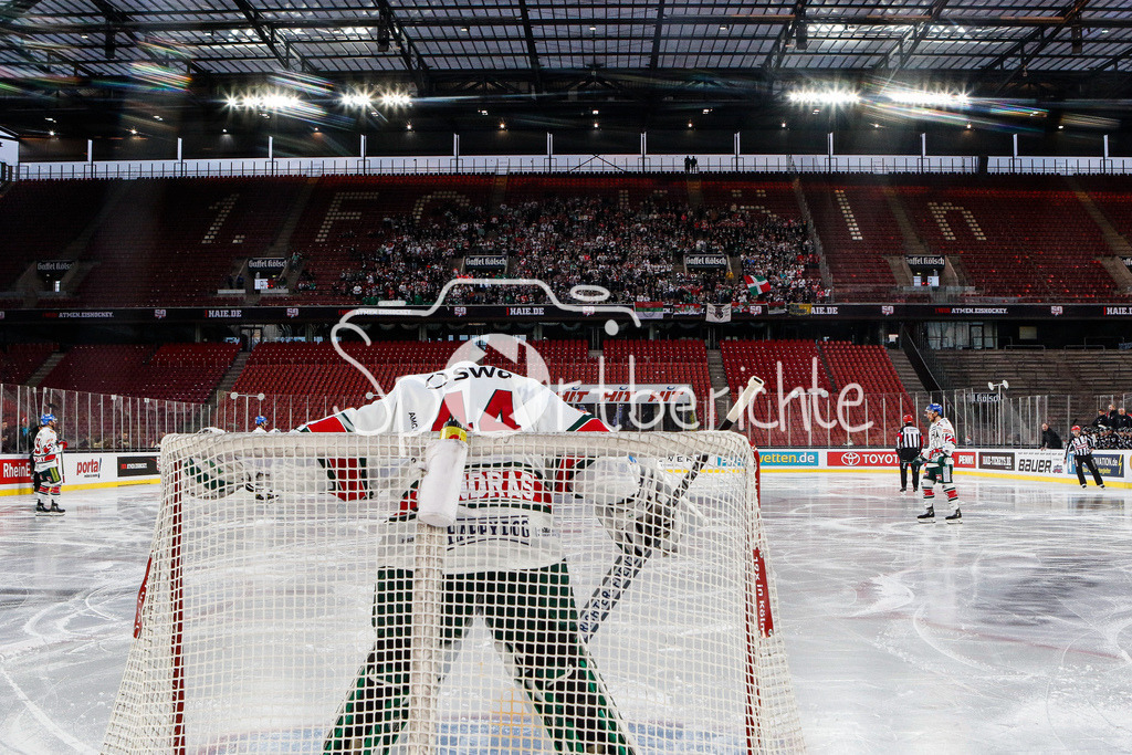 Kölner Haie - Augsburger Panther | Dennis ENDRAS (AEV #44) im Tor der Panther / im Hintergrund die mitgereisten Fans aus Augsburg