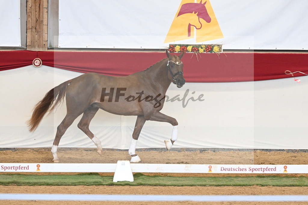 Kat.-Nr. 58 v. Filox_Rothenberger_3260647 | hf-fotografie - Realisiert mit Pictrs.com