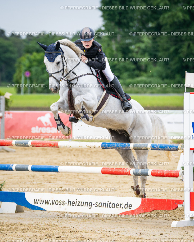 DSC05180 | Pferdegrafie