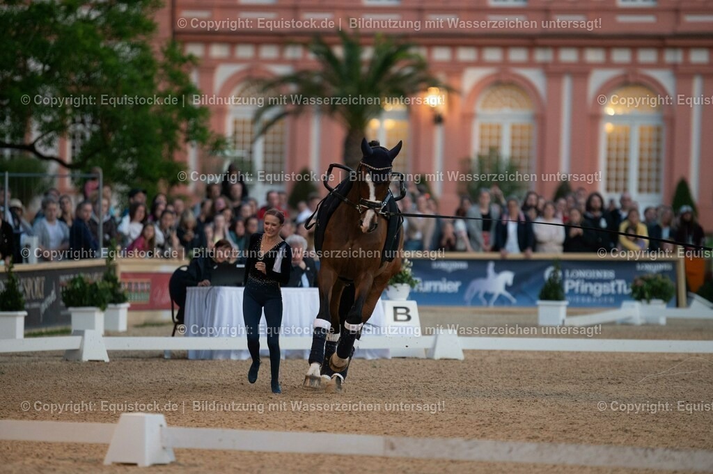 20230527_Voltigieren_NASPA_Flutlicht_0316 | equistock