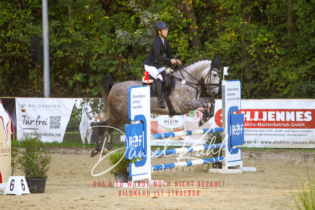 DKP42836 | Deine Turnierfotos vom Reitturnier online kaufen: Dressur, Springen & Siegerehrung. Professionelle Pferdefotografie aus dem Rheinland – als Download & Print.Alternative: Turnierfotograf für den Pferdesport: Finde deine Fotos von Dressur- und Springturnier