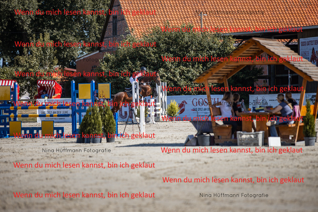 BK1A7104 | Turnierbilder Turnierfotos Nina Hüffmann Turnierfotografie Pferdefotografie Tierzeichnung Haustierzeichnung Pferdezeichnung Hundezeichnung Videograf  - Realisiert mit Pictrs.com