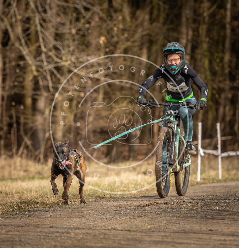 DV3A4494 | Hundefotografie, Tierfotograf, Pfotenfotografie, Fotoshooting Hund, Hunde Portrait, Hundesport, Hundeportraits, Heideshooting, Hunde, Sportfotograf, Hundefotograf, Turnierhundsport, THS,  - Realisiert mit Pictrs.com