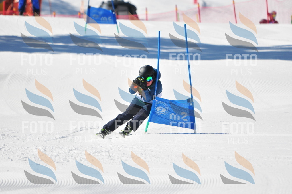 C3402 | holidayphoto