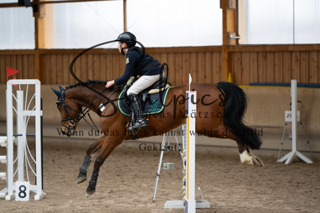 A7V00667 | Pferdefotograf