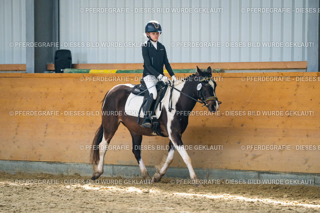 DSC01894 | Pferdegrafie