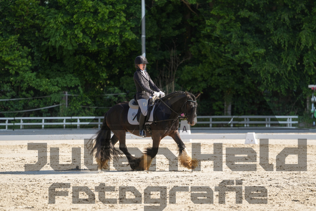 DSC02772 | Julian Held Fotografie - Realisiert mit Pictrs.com