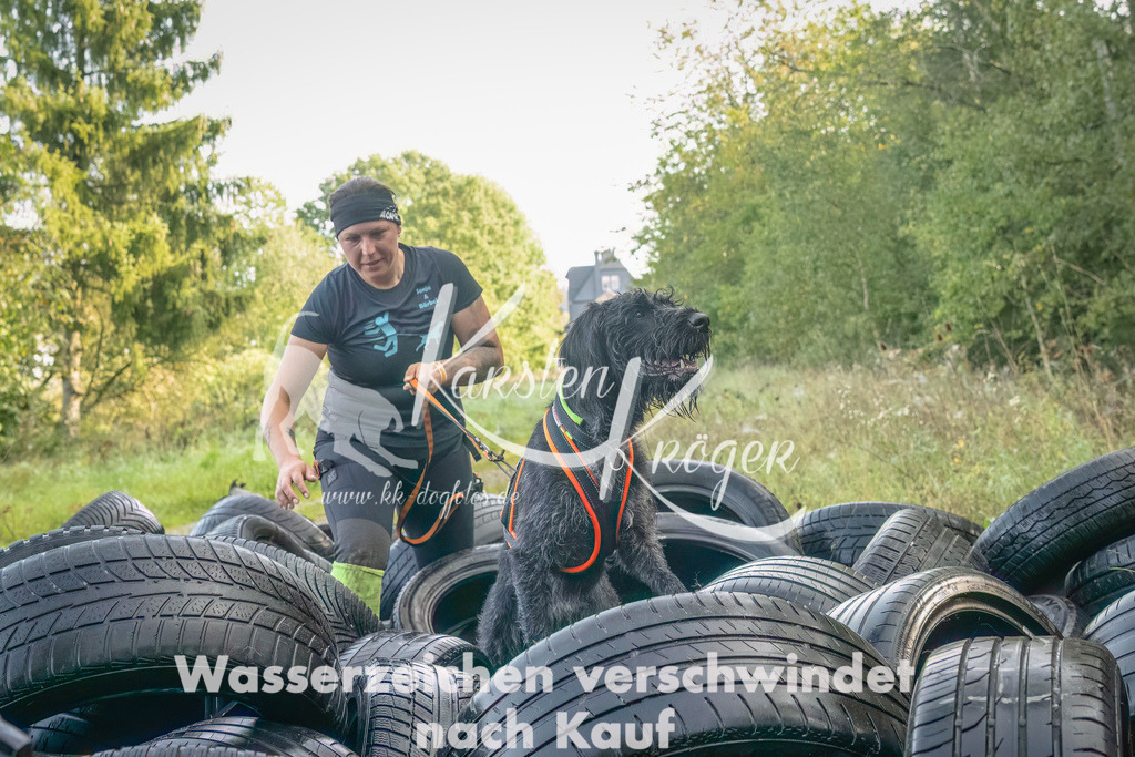 1055_ZZ90785-Bearbeitet | kk-dogfotos