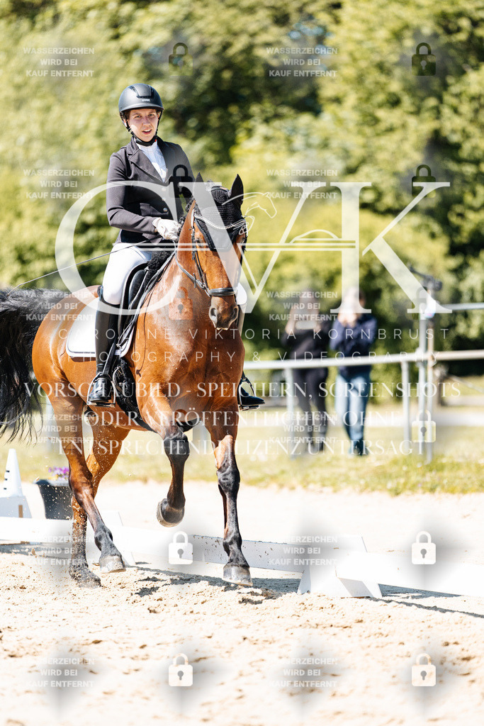 CK905922 | Turnierfotografie Pferdefotografie Trier Rheinland-Pfalz Pferdesport Reitsport Tierfotografie Sportfotografie Pferdevideo Pferdevideografie Equestrianvideography equestrianphotography  - Realisiert mit Pictrs.com