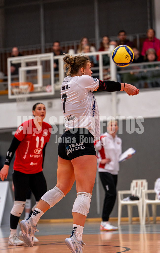 Volleyball I Frauen I Saison 2025-2026 I 2 Bundesliga Pro I 16. Spieltag VFL Oythe - TV Planegg-Krailling-43 | Malin Griesel (7,VFL Oythe) - Realisiert mit Pictrs.com