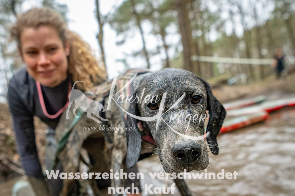 1230DSC_6702-2 | kk-dogfotos