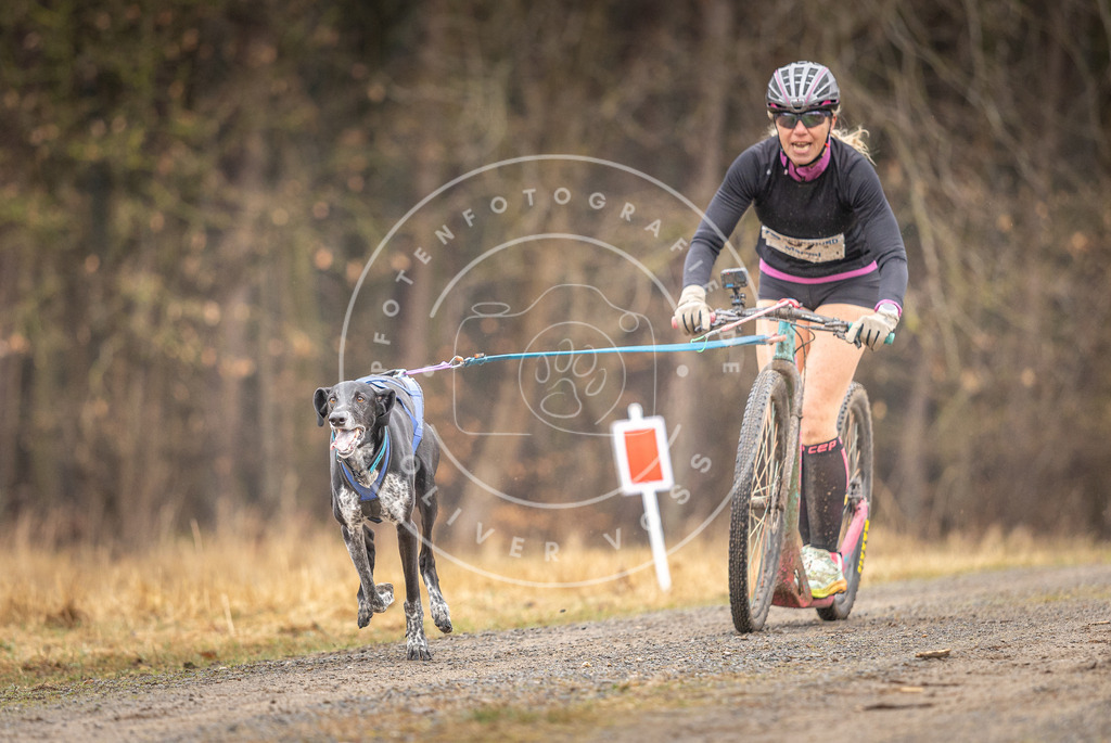 DV3A3162 | Hundefotografie, Tierfotograf, Pfotenfotografie, Fotoshooting Hund, Hunde Portrait, Hundesport, Hundeportraits, Heideshooting, Hunde, Sportfotograf, Hundefotograf, Turnierhundsport, THS,  - Realisiert mit Pictrs.com