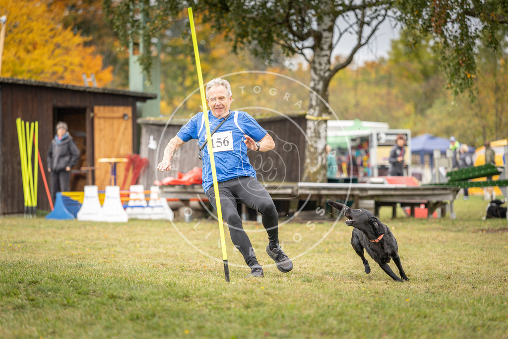 Pfotenfotografie_DV3A5387 | Hundefotografie, Tierfotograf, Pfotenfotografie, Fotoshooting Hund, Hunde Portrait, Hundesport, Hundeportraits, Heideshooting, Hunde, Sportfotograf, Hundefotograf, Turnierhundsport, THS,  - Realisiert mit Pictrs.com