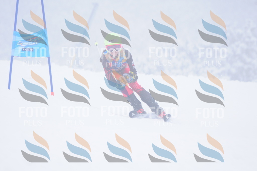 C3550 | holidayphoto