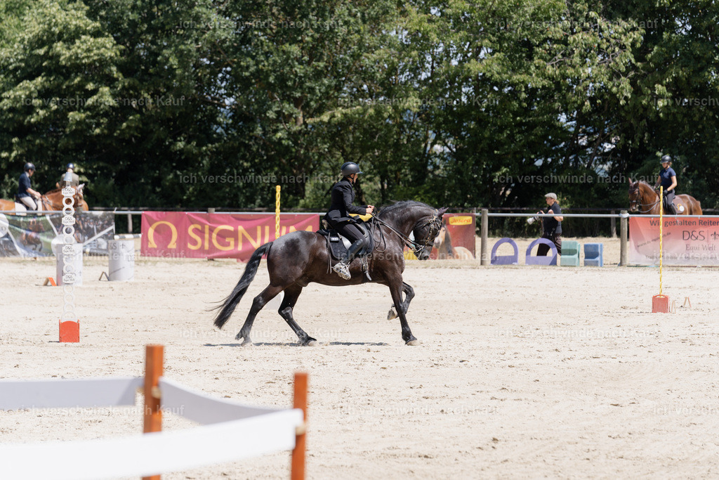 WM_SP_132_SinaFilmArt_IN06878 | working equitationturnier fotograf videograf stoibphotography marixx film working equitation deutschland reitsport turnierfotografie eventfotografie equestrian events