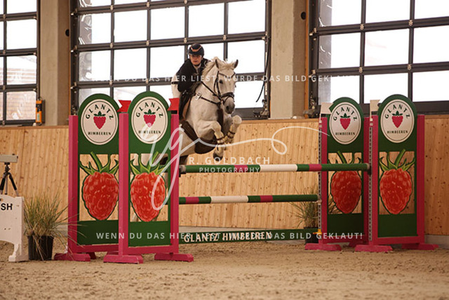 1J2A3855Luisa Teichmann_ Dara 29_ Kn203_ Hohen Wieschendorf_ Glantz | Foto- und Videografie für alles rund ums Pferd. Hochwertige Bilder und Videos vom Spring- und Dressurreiten, Voltigieren & mehr. Jetzt aktuelle Veranstaltungen und Preise im Shop ansehen. - Realisiert mit Pictrs.com