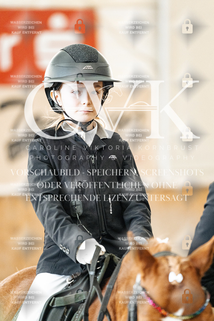 CK905552 | Turnierfotografie Pferdefotografie Trier Rheinland-Pfalz Pferdesport Reitsport Tierfotografie Sportfotografie Pferdevideo Pferdevideografie Equestrianvideography equestrianphotography  - Realisiert mit Pictrs.com