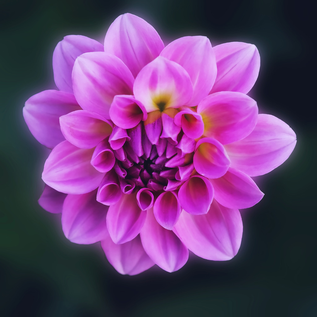 20230615_DSC06003_filter_1_1_dunkler_blauer | In diesem Shop werden vorwiegend künstlerisch hochstehende Aufnahmen aus dem Bereich der Naturfotografie zum Verkauf angeboten. - In this store mainly artistic high quality shots from the field of nature photography are offered for sale. - Realisiert mit Pictrs.com