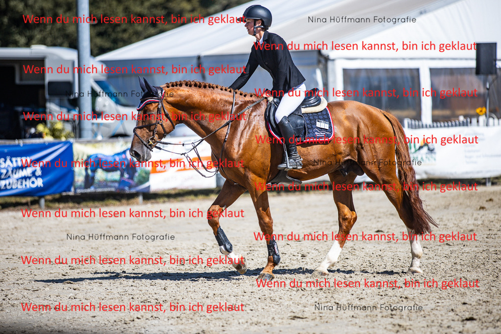 BK1A5532 | Turnierbilder Turnierfotos Nina Hüffmann Turnierfotografie Pferdefotografie Tierzeichnung Haustierzeichnung Pferdezeichnung Hundezeichnung Videograf  - Realisiert mit Pictrs.com