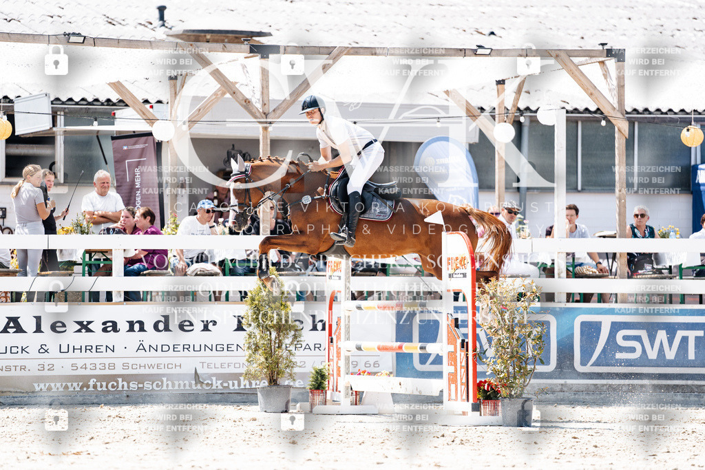 CK900094 | Turnierfotografie Pferdefotografie Trier Rheinland-Pfalz Pferdesport Reitsport Tierfotografie Sportfotografie Pferdevideo Pferdevideografie Equestrianvideography equestrianphotography  - Realisiert mit Pictrs.com