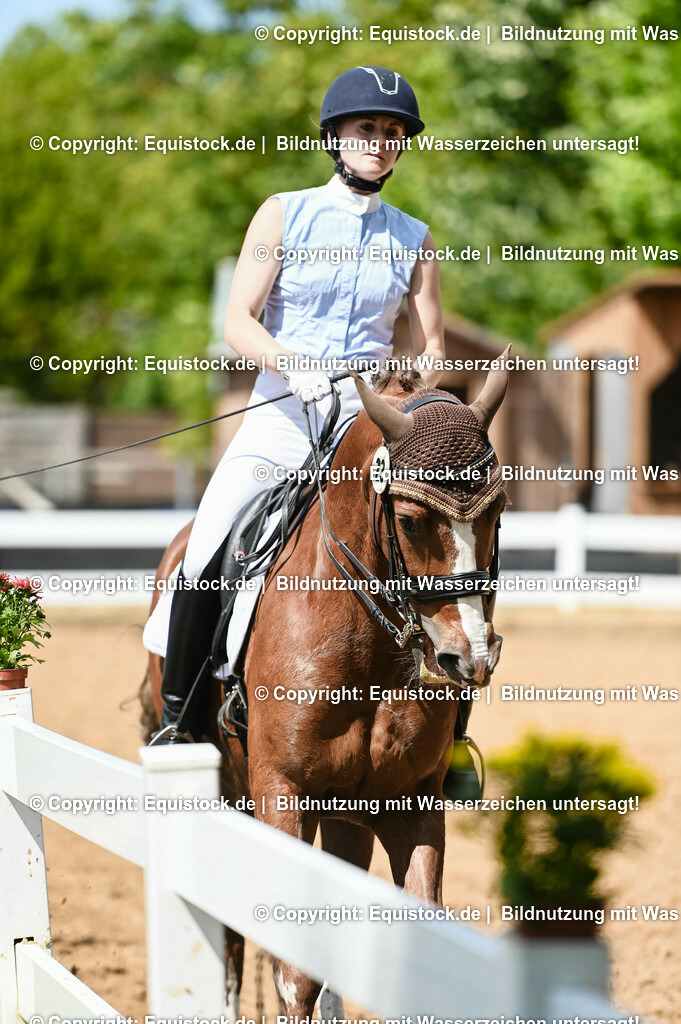 20230716_01_Dressurprüfung Kl.M_0257 | equistock