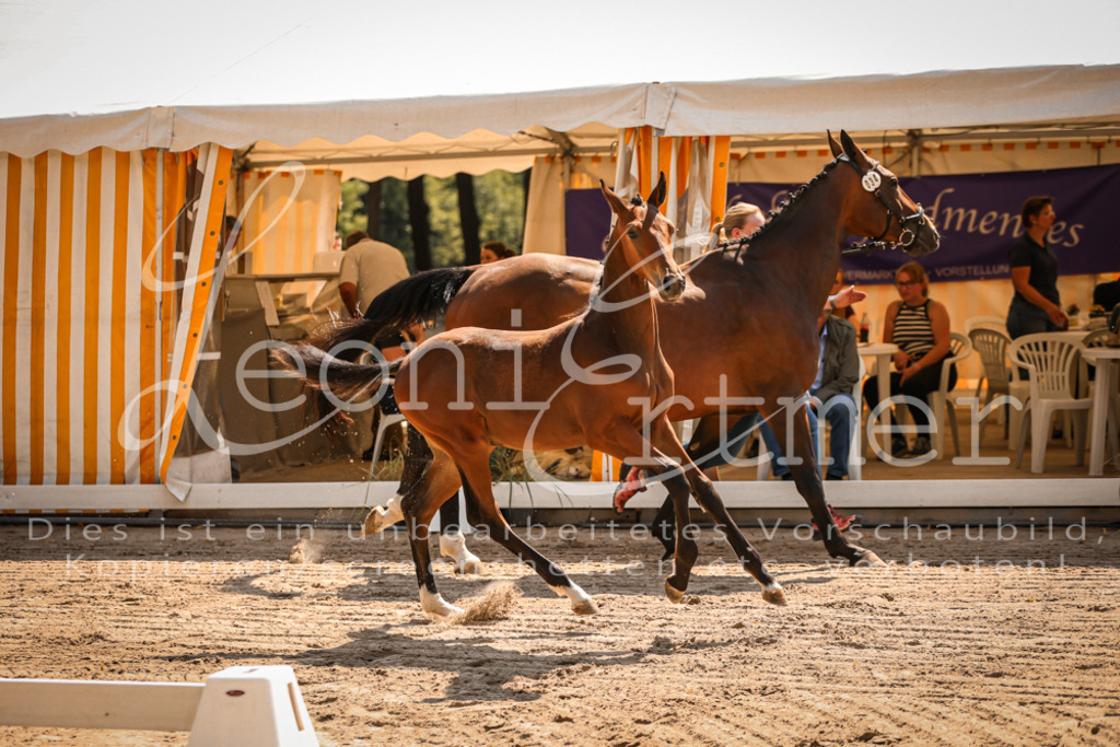 07.DoWBS00024 | Leoni Ertmer Photography - Realisiert mit Pictrs.com