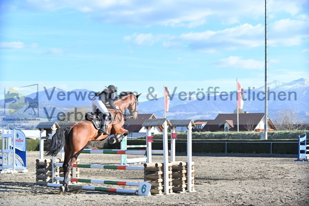 DSC_6504 | equestrian-live-com