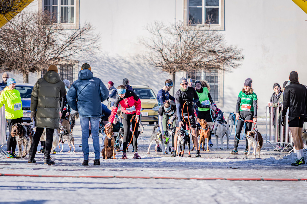 IMAG9539 | SportEventFotografie - Roman Stoiber