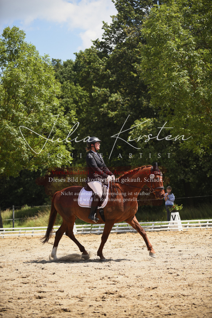 DSC_1278 | Pferde- und Turnierfotografie in Westsachsen. Pferdeportraits, Auftragszeichnungen und intuitive Kunst.