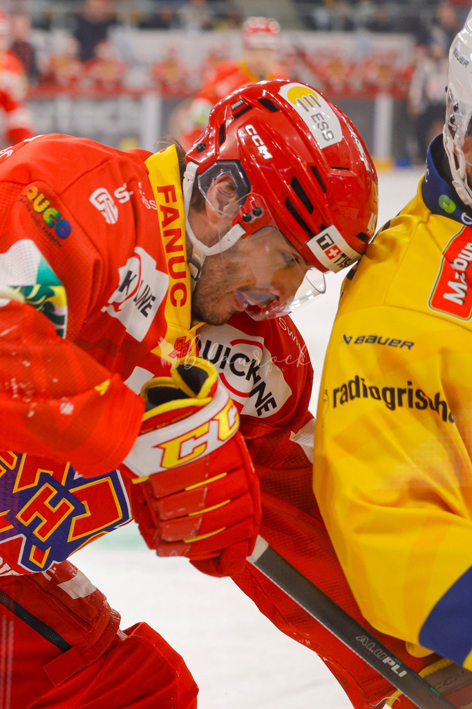 EHCB vs HCD 20260106_wb-0871 | Sportbilder, Sportfotograf, Hochzeits- und Eventfotografin, Flugshows, Portraits und Tiershooting, Aviation, Downhill, Nationalleague, Swissleague, International