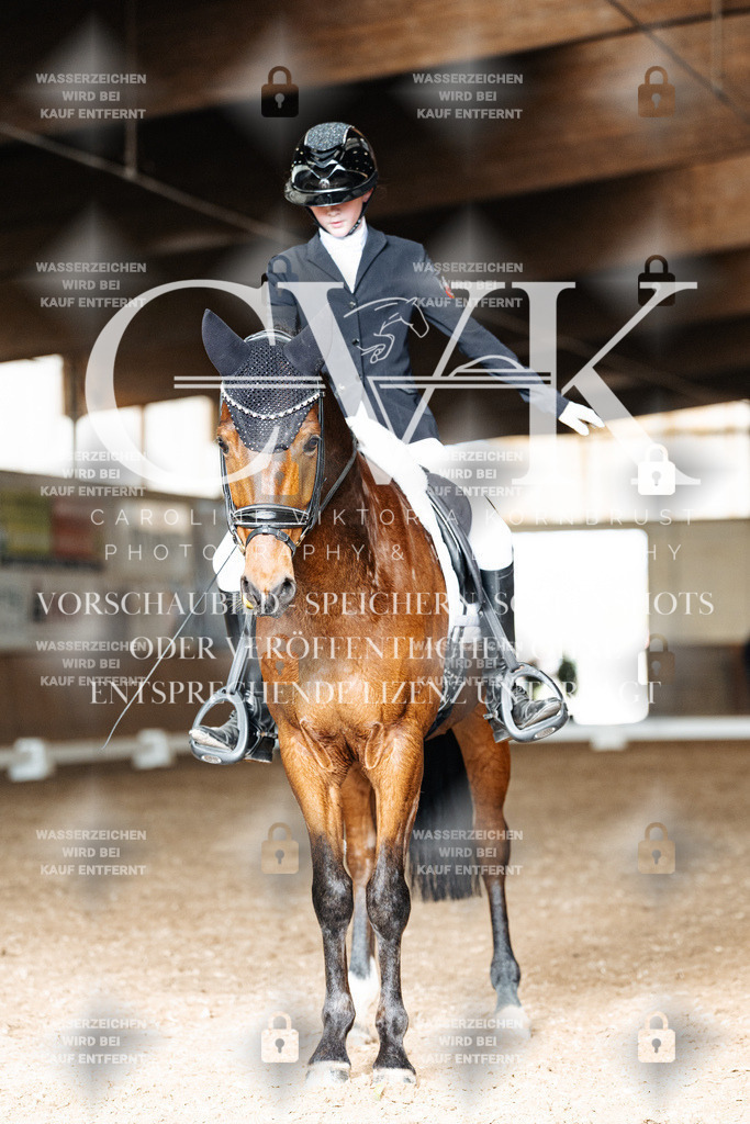 CK902028 | Turnierfotografie Pferdefotografie Trier Rheinland-Pfalz Pferdesport Reitsport Tierfotografie Sportfotografie Pferdevideo Pferdevideografie Equestrianvideography equestrianphotography  - Realisiert mit Pictrs.com