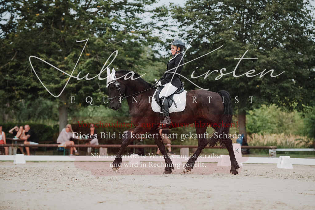 DSC_8631 | Pferde- und Turnierfotografie in Westsachsen. Pferdeportraits, Auftragszeichnungen und intuitive Kunst.
