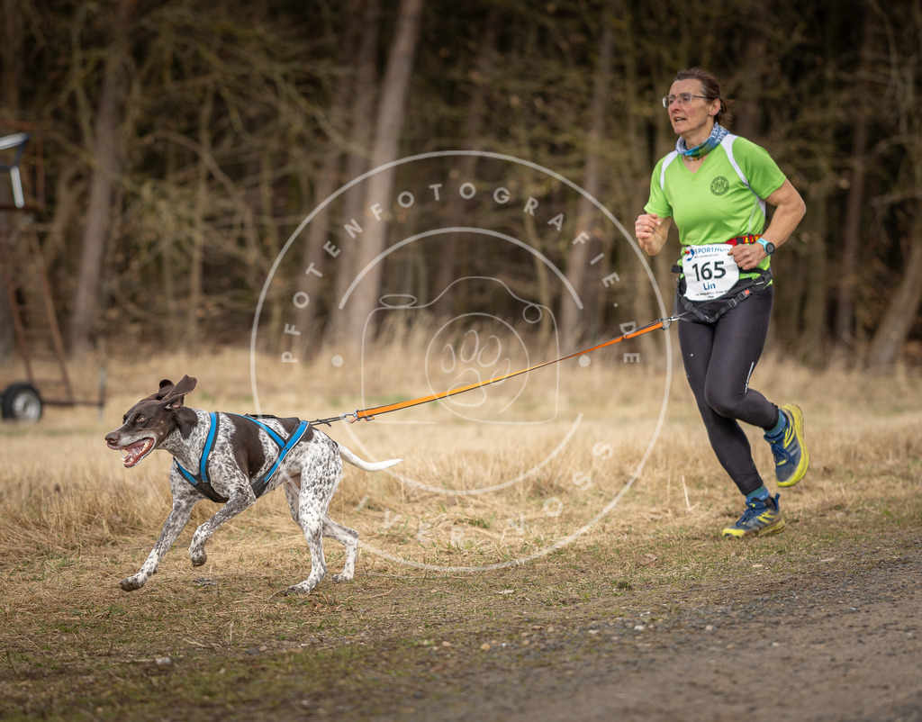 DV3A5368 | Hundefotografie, Tierfotograf, Pfotenfotografie, Fotoshooting Hund, Hunde Portrait, Hundesport, Hundeportraits, Heideshooting, Hunde, Sportfotograf, Hundefotograf, Turnierhundsport, THS,  - Realisiert mit Pictrs.com