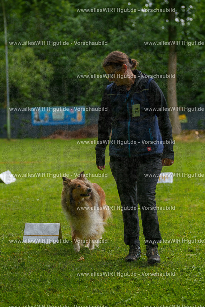 @allesWIRTHgut_Tierfotografie - www.allesWIRTHgut.de - 7R503077 | Professionelle Tierfotografie in Mönchengladbach von Daniel Wirth (allesWIRTHgut). Liebevolle & natürliche Bilder von Hunden & Katzen für unvergessliche Erinnerungen.