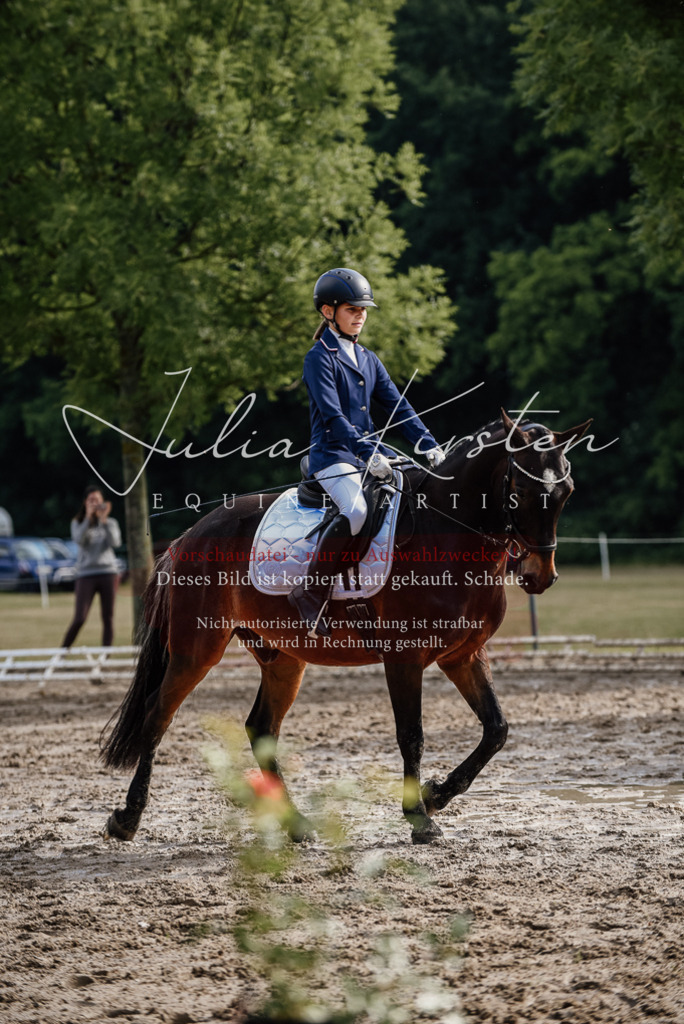 DSC_9112 | Pferde- und Turnierfotografie in Westsachsen. Pferdeportraits, Auftragszeichnungen und intuitive Kunst.
