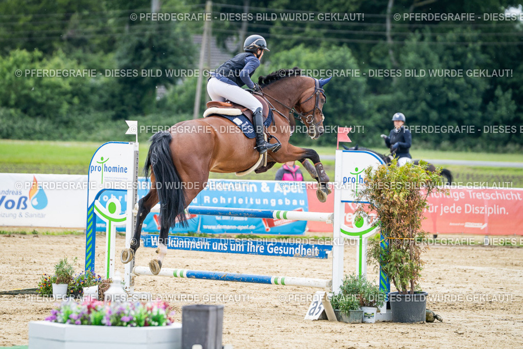 DSC05180 | Pferdegrafie