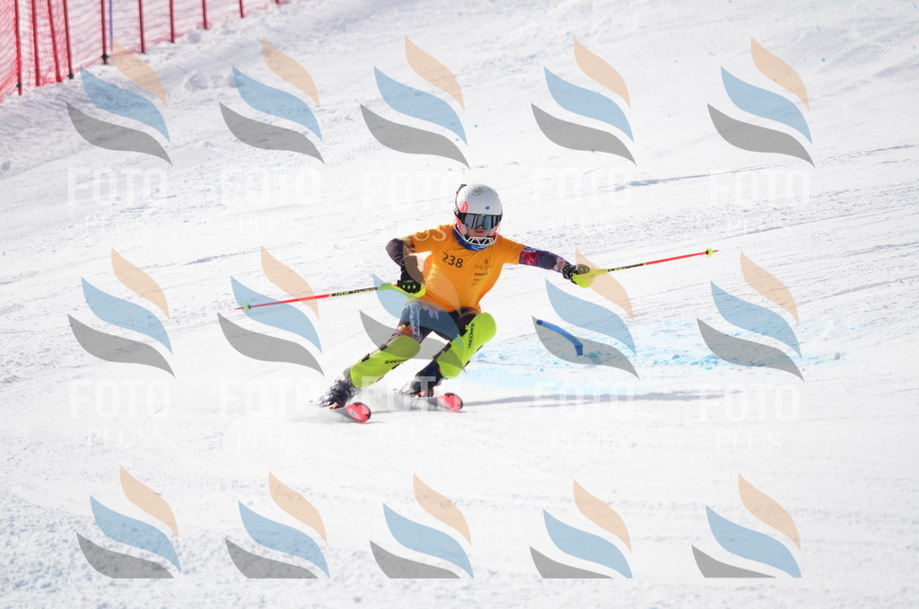 C8361 | holidayphoto