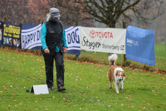 2025_Rally_Obedience_SM-163 | Ich fotografiere Hundeausstellungen, Sportanlässe, Zuchtstätten, Hundezucht, Hundeportrait, Lagotto - Realisiert mit Pictrs.com
